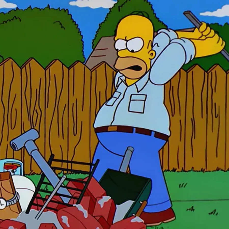 Homer Simpson confronting his disastrous barbecue